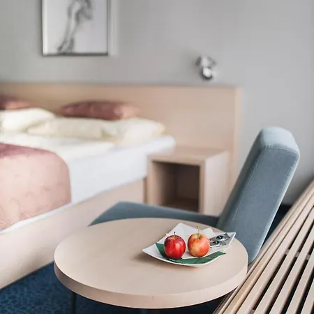 Hotel Wellness Split Kadaň
