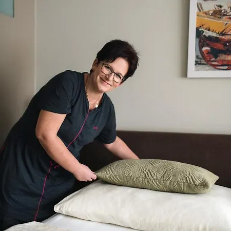 فندق Wellness Split Kadaň