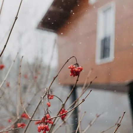 فندق Wellness Split 4*